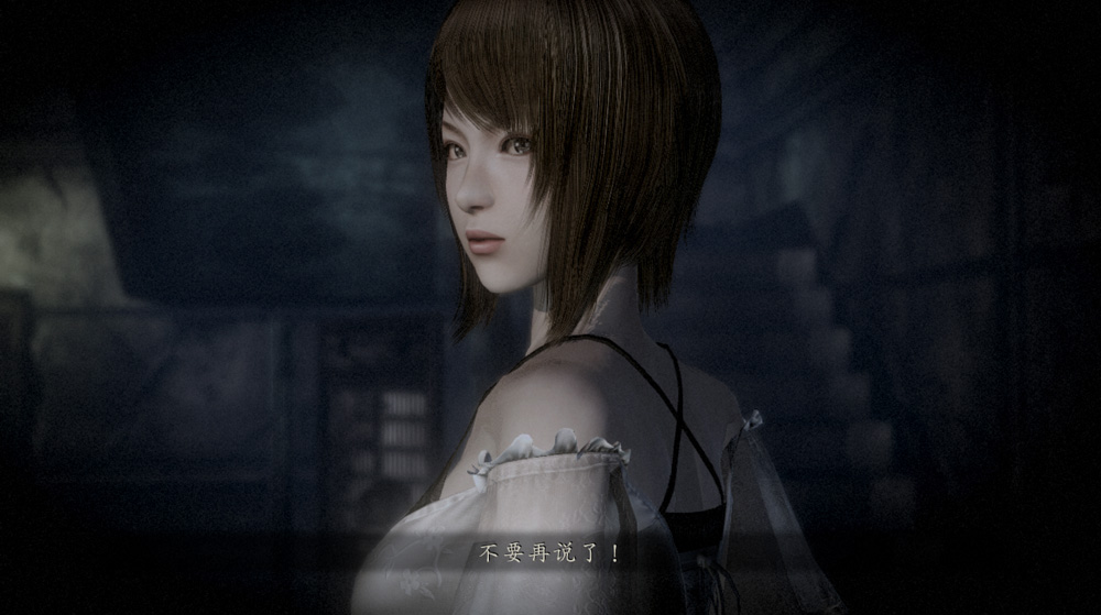 【3D大作/中文/全动态】零:月蚀的假面 STEAM官方中文重置版+DLC【14G】-Hello world!