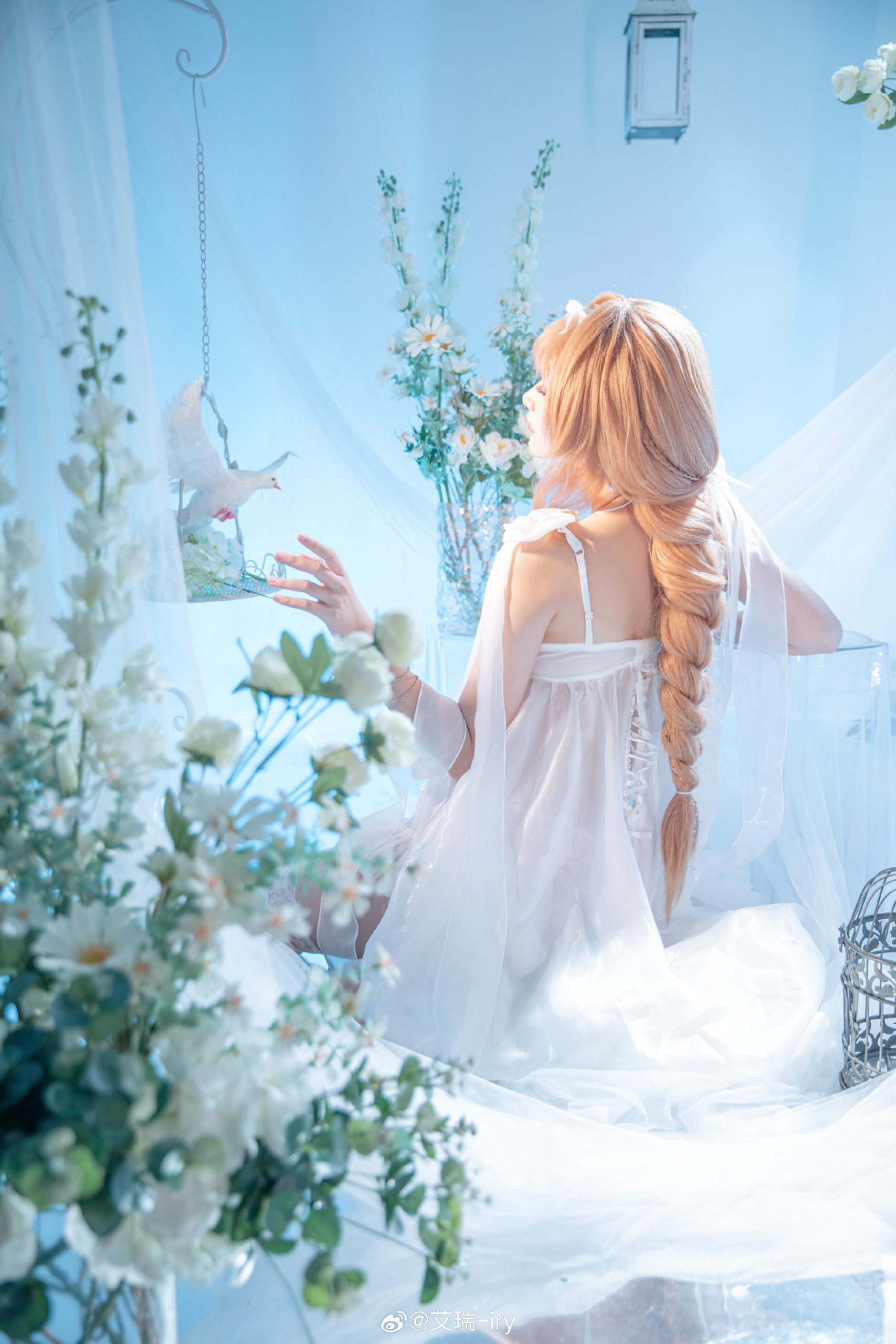 付费图片-渴望触碰天空的金丝雀，被困于名为“家族”的华丽牢笼中🕊️