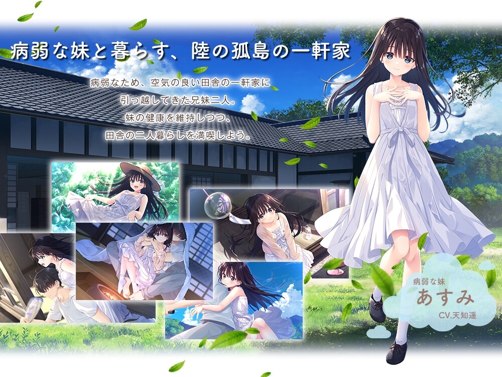图片[2]-【RPG/妹妹/更新】一心一意的乡下哥哥和古式温柔的病弱妹妹/痴情哥哥与病弱妹妹的乡间生活/エッチで一途なド田舎兄さまと、古式ゆかしい病弱妹/Sickly Days and Summer Traces +DLC1-4 官中无修版+存档【3月更新/3.5G】-Hello world!